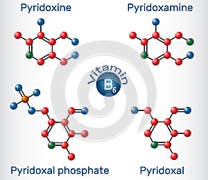 Forms of vitamin B6: pyridoxal, pyridoxal phosphate, pyridoxine, pyridoxamine molecule. Molecule model. Vector