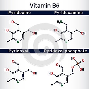 Forms of vitamin B6: pyridoxal, pyridoxal phosphate, pyridoxine, pyridoxamine molecule. Structural chemical formula. Vector