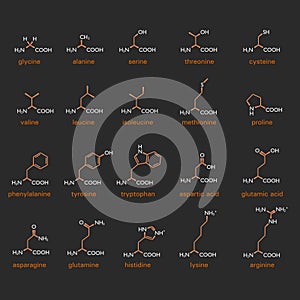 Formulae for amino acids photo