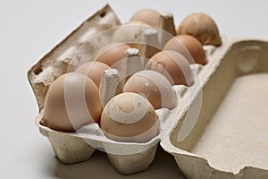 a formwork with organic eggs