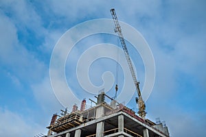 Formwork panels connected by clamps