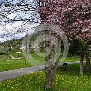 Forni di Sopra Dolomiti friulane