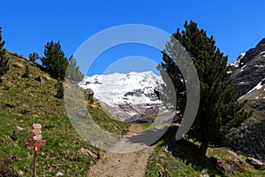 Forni glacier mountain panorama, signpost and hiking path in Ortler Alps