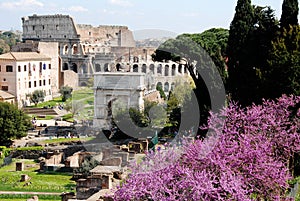 Foro Romano (Roman Forum) and Colosseum,Rome,Italy photo