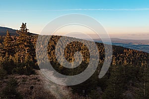 Forrest in Czech republics mountains with path at sunset