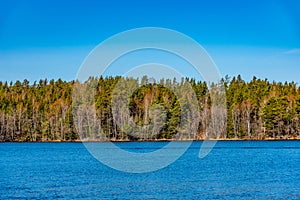 Forrested island on lake malaren near Stockholm, Sweden photo