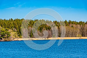 Forrested island on lake malaren near Stockholm, Sweden photo