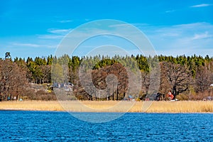 Forrested island on lake malaren near Stockholm, Sweden photo