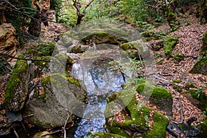 forrriver between rocks inse the forest photo