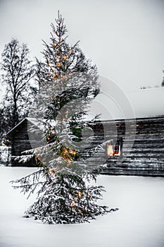 Fors Hembygdsgard with christmas tree. A Hembygdsgard is a typical Swedish free type of open-air museum