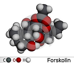 Forskolin, coleonol molecule. It is anti-HIV agent, labdane diterpene, is found in the Indian Coleus plant. Molecular model. 3D