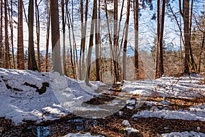 Forstsee - Walking through the snow covered forest Techelsberg, Carinthia (Kaernten), Austria, Europe