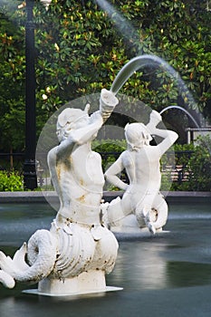 Forsyth Park Fountain