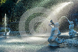 Forsyth Park fountain in Savannah, GA