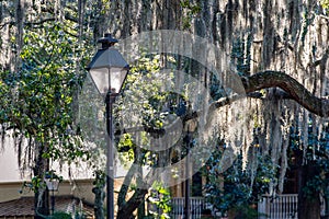 Forsyth Park in Savannah, GA