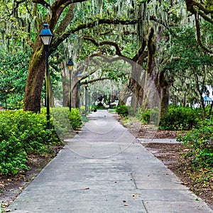 Forsyth Park in Savannah, GA