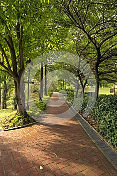 Fort Canning Hill Public Parks photo