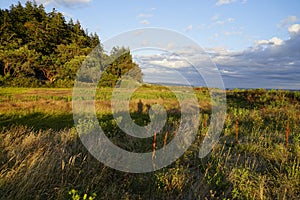 Fort Ebey State Park Whidbey Island Washington Seattle