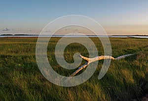 Fort Fisher State Recreation Area