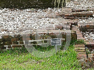 Fort Frederica Ruins St Simons Georgia photo