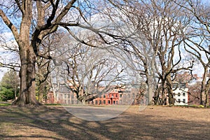 Fort Greene Park in Fort Greene Brooklyn New York with Colorful Homes in the Background and Bare Trees photo