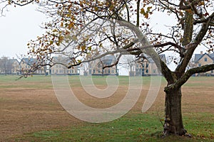 Fort Hancock Houses During Fall