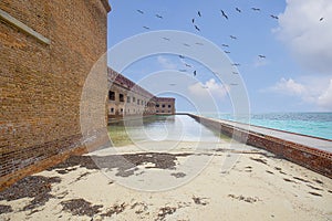 Fort Jefferson Ground Level, Dry Tortugas