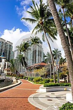 Fort Lauderdale - December 11, 2019: Cityscape view of the popular Las Olas Riverwalk downtown district