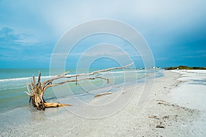 Fort Myers Beach photo