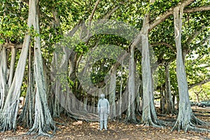 FORT MYERS, FLORIDA - MAY 02, 2015: Edison and Ford Winter Estates Monument in Park.