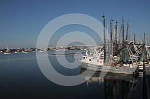 Fort Myers Shrimping Fleet Horizontal