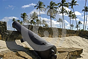 Fort Orange, cannon and palm trees, Brazil