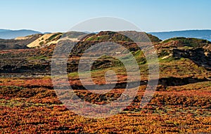 Fort Ord Dunes State Park in Coastal Monterey photo