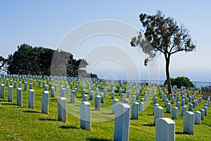 Fort Rosecrans National Cemetery photo