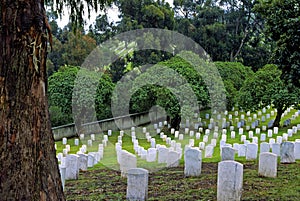 Fort Rosecrans National Cemetery  42798