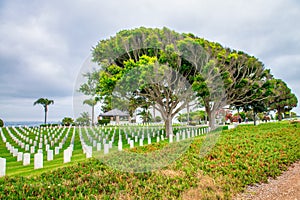 Fort Rosecrans National Cemetery in San Diego, California photo