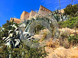 Fort Santa Cruz in Oran photo