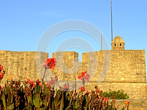 Fort of Sao Joao Baptista da Foz photo