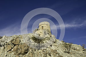 Fort Tower