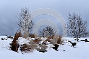 Fort Williams Park, Cape Eiizabeth, Cumberland County, Maine, United States New England US