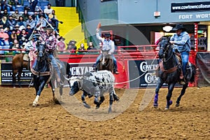 Team roping competition in the Stockyards Championship Rodeo