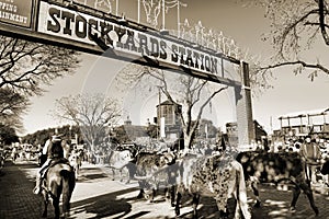 Fort Worth Stockyards