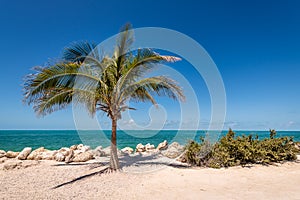 Fort Zachary Taylor State Beach