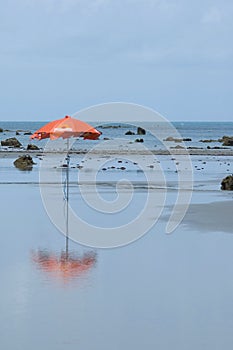 Fortaleza beach Brazil