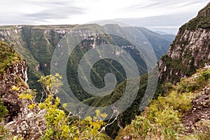 Fortaleza Canyon Aparados da Serra Brazil