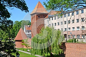 Fortification, watchtower and gymnasium of Jesuits in summer day. Braniewo, Poland photo