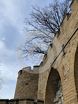 Fortifications or walls with branches of trees in the background of Hohenzollern Castle in Bisingen Germany.