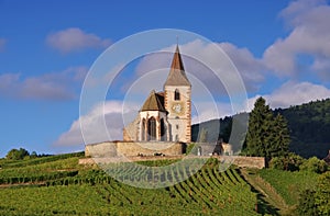 Fortified church Hunawihr in Alsace