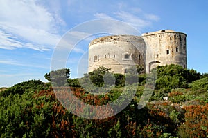 Fortress Arza Montenegro