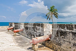 Fortress with cannons